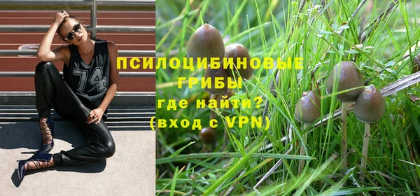 прущий лед Алексеевка